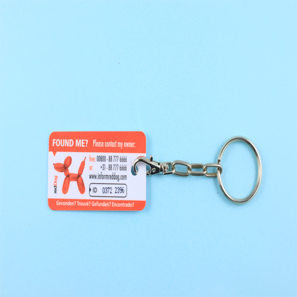 Combo Card --Master + 1 Keychain Card